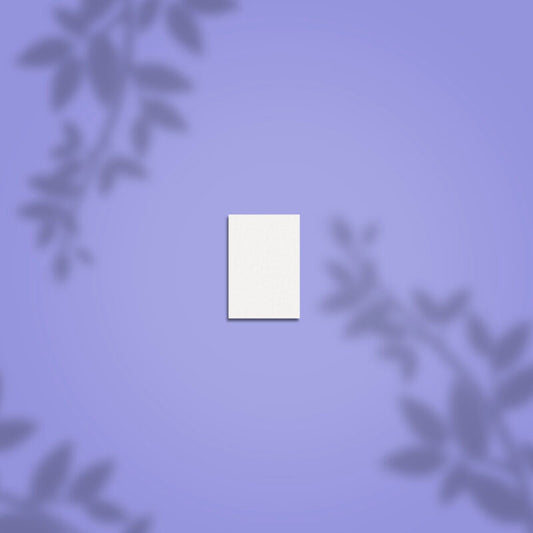 Grinding buff rectangular mini STALEKS PRO 100/180 grit, set of 50 pcs